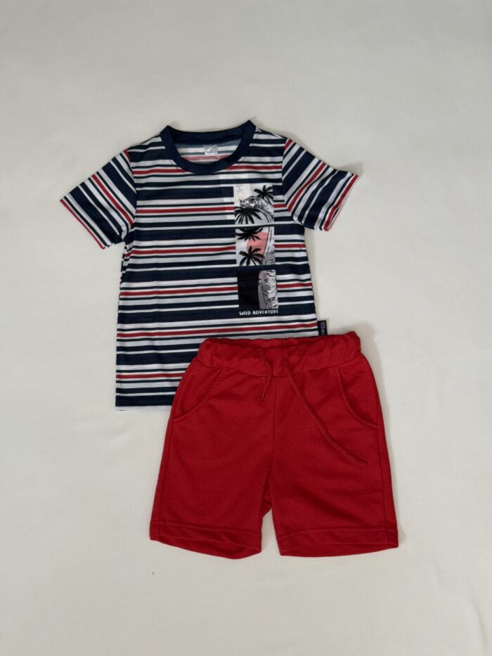 Conjunto - Image 1